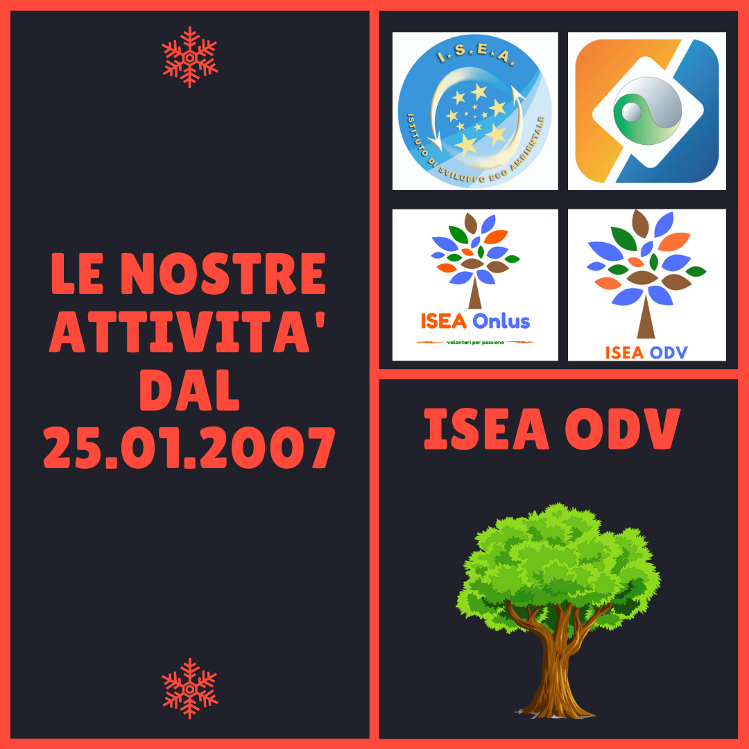 Attività svolte